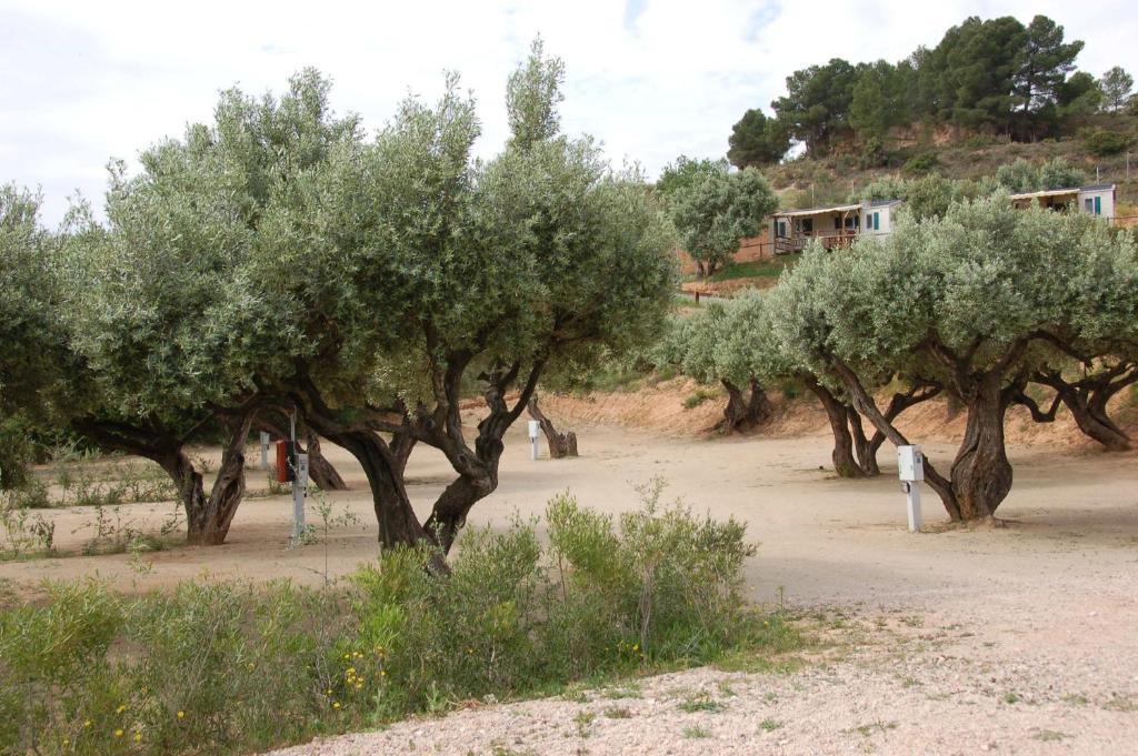 Camping Terra Alta Bot Exterior foto